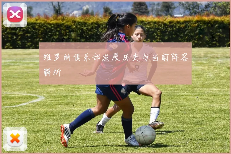 维罗纳俱乐部发展历史与当前阵容解析