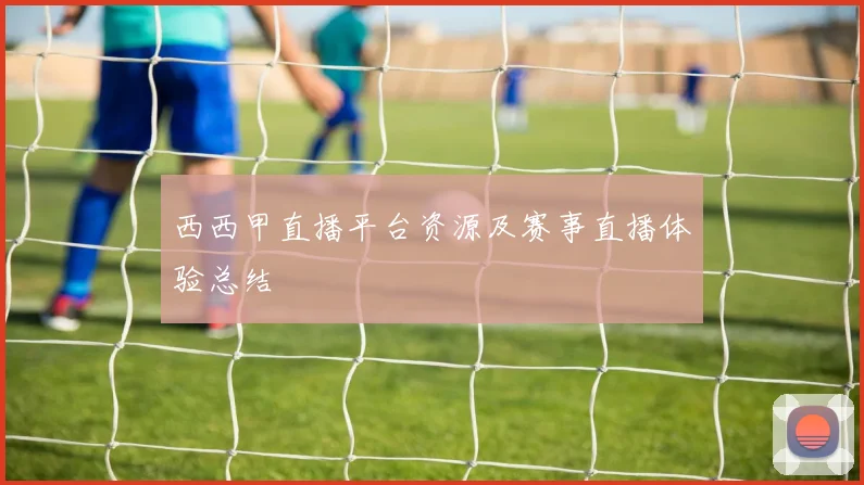 西西甲直播平台资源及赛事直播体验总结